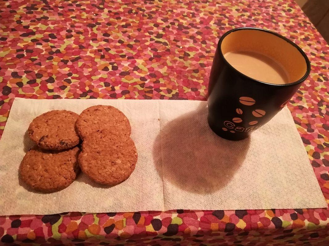 Biscotti con avena e uvetta