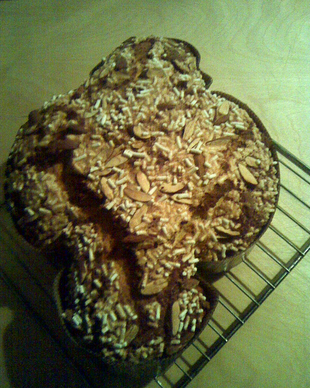 COLOMBA DI PASQUA